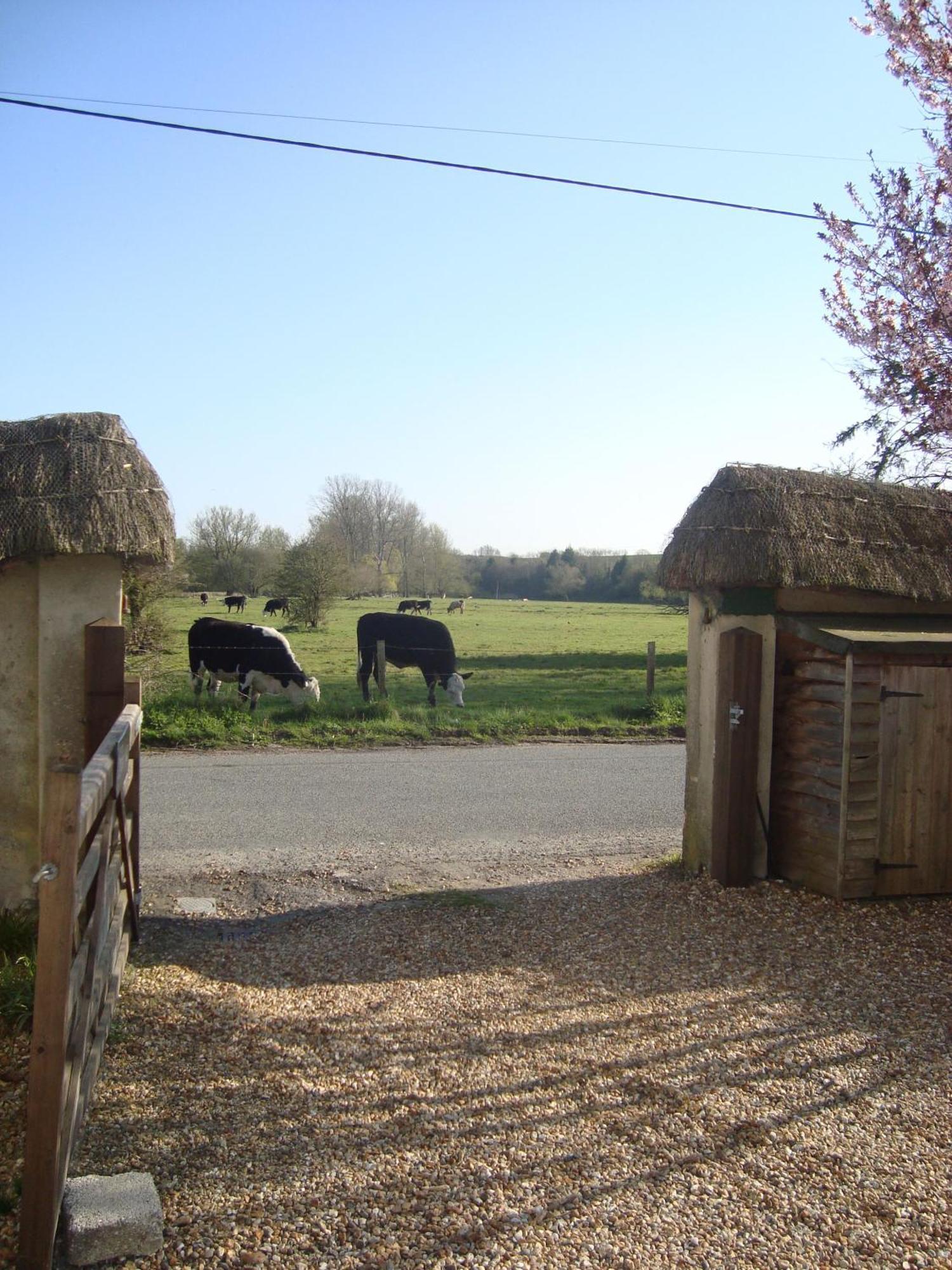 Stunning 3 Bedroom 3 Bath Self Catering Cottage Nr Stonehenge, Longleat, Avebury And Bath - Great Local Village Pub Pewsey Extérieur photo